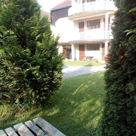 Guest House Aleksandra Bajina Basta Exterior photo